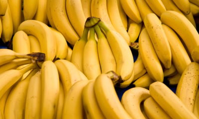 O poder nutritivo e econômico da banana, a fruta mais consumida no mundo