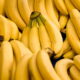 O poder nutritivo e econômico da banana, a fruta mais consumida no mundo