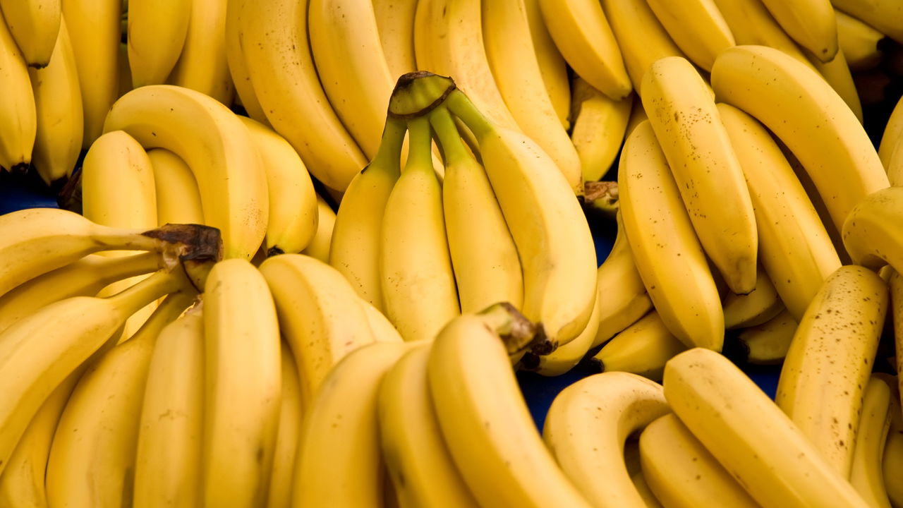 O poder nutritivo e econômico da banana, a fruta mais consumida no mundo