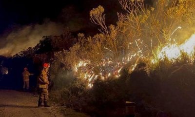 Incêndio florestal no RJ