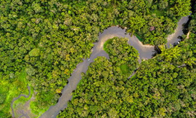 O enigma de Ratanabá: Desvendando os segredos da Amazônia