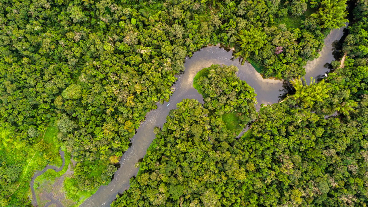 O enigma de Ratanabá: Desvendando os segredos da Amazônia