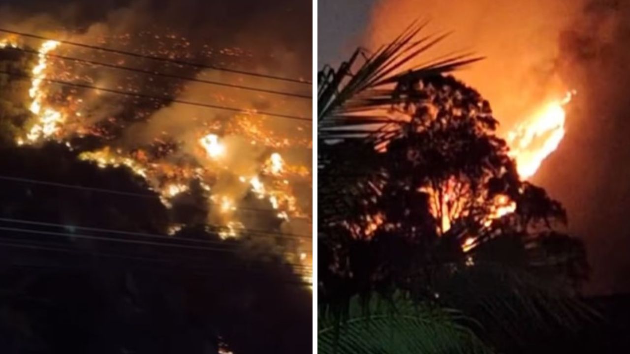 Incêndio atinge área de mata na Muzema e intertida Estrada do Itanhangá