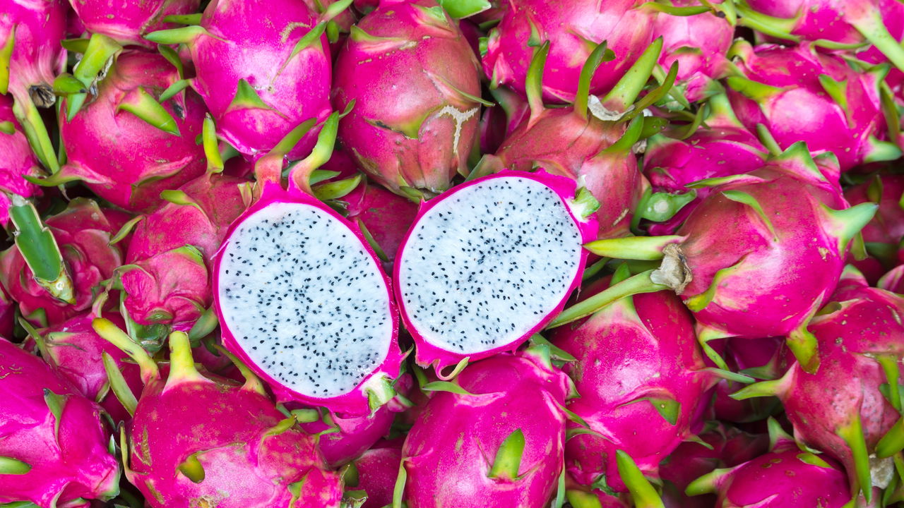 Os benefícios da pitaya para a saúde