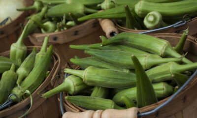 Quiabo, um ingrediente valioso na culinária e saúde