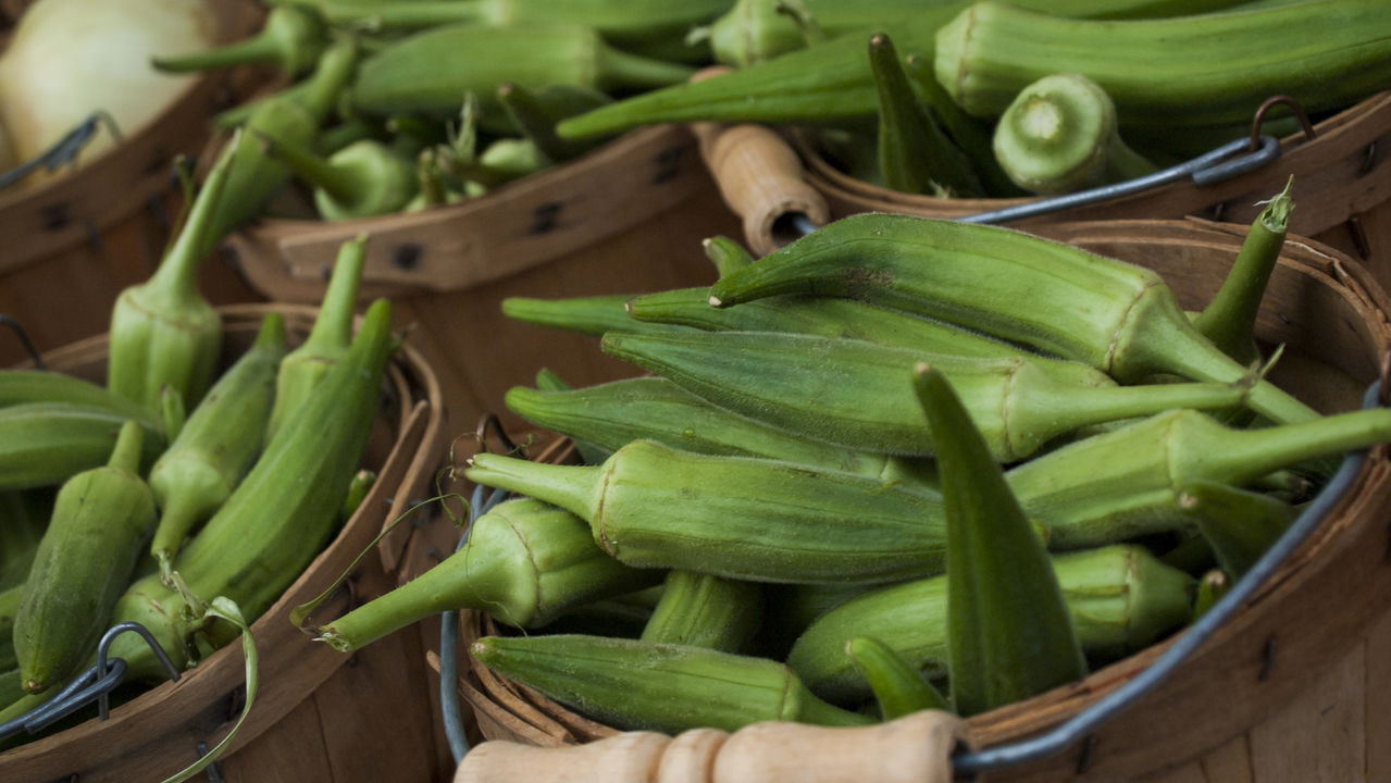 Quiabo, um ingrediente valioso na culinária e saúde