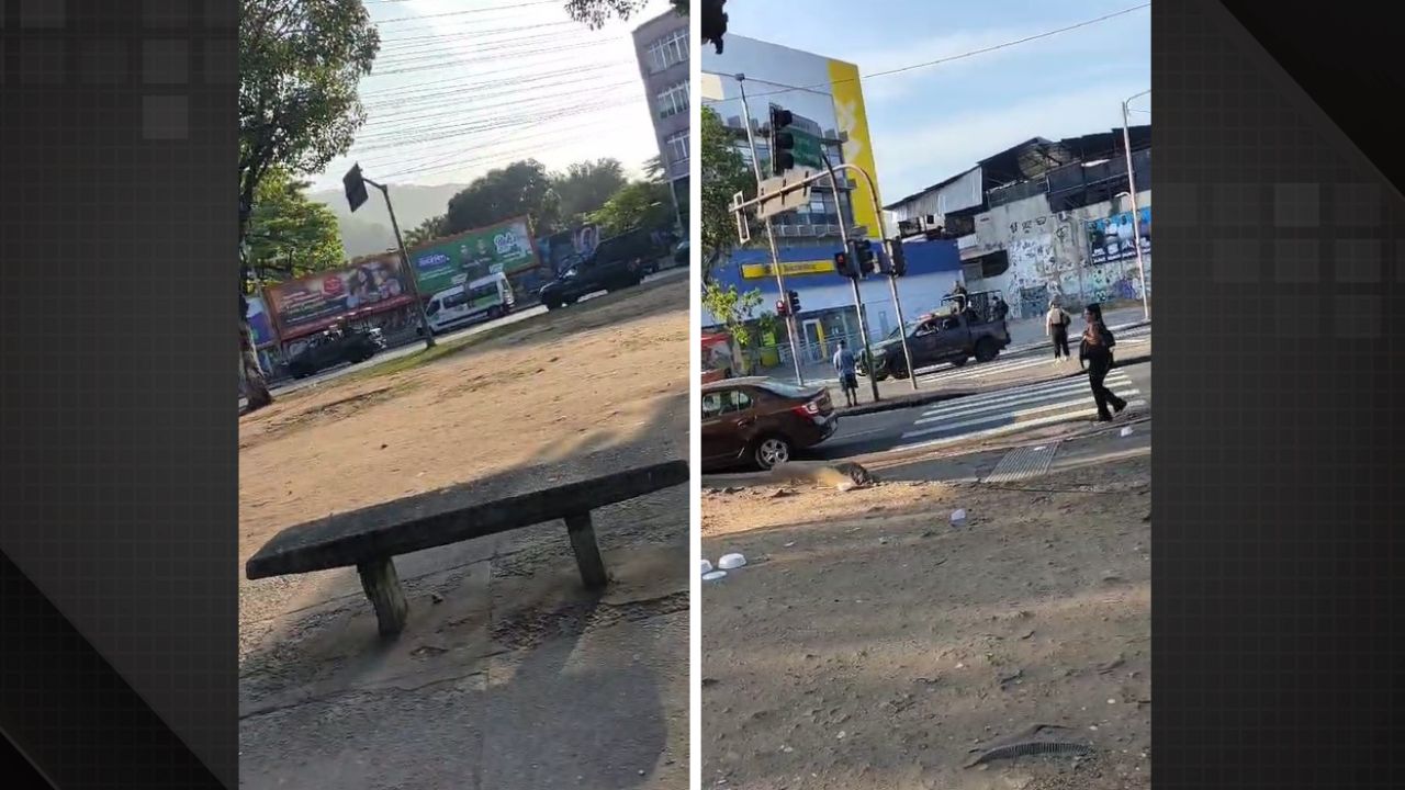 Operação da Polícia Militar em Madureira.