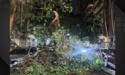 Temporal derruba árvore em Copacabana