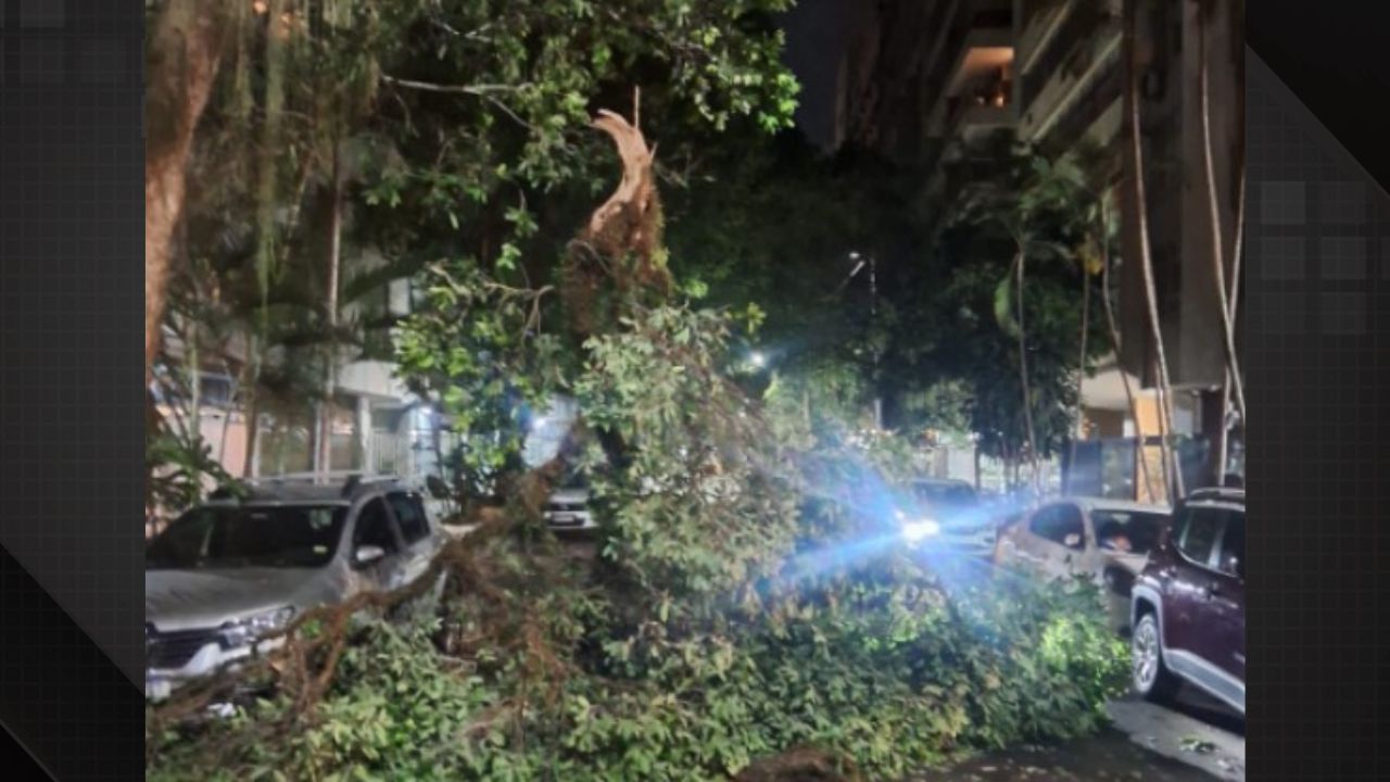 Temporal derruba árvore em Copacabana