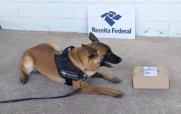 Receita Federal apreende Haxixe escondido em encomenda no Galeão.