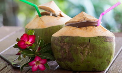 Água de coco: A bebida natural que transforma a sua saúde