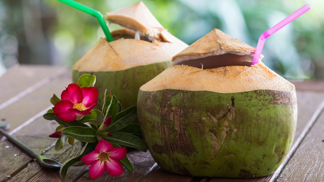 Água de coco: A bebida natural que transforma a sua saúde