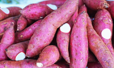 Se surpreenda com os benefícios e o uso versátil da batata-doce na alimentação