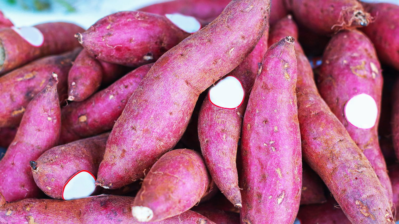 Se surpreenda com os benefícios e o uso versátil da batata-doce na alimentação