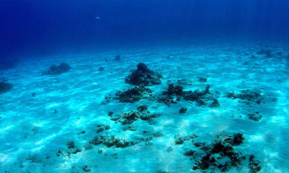 The Underground Ocean: A New Frontier for Scientific Exploration