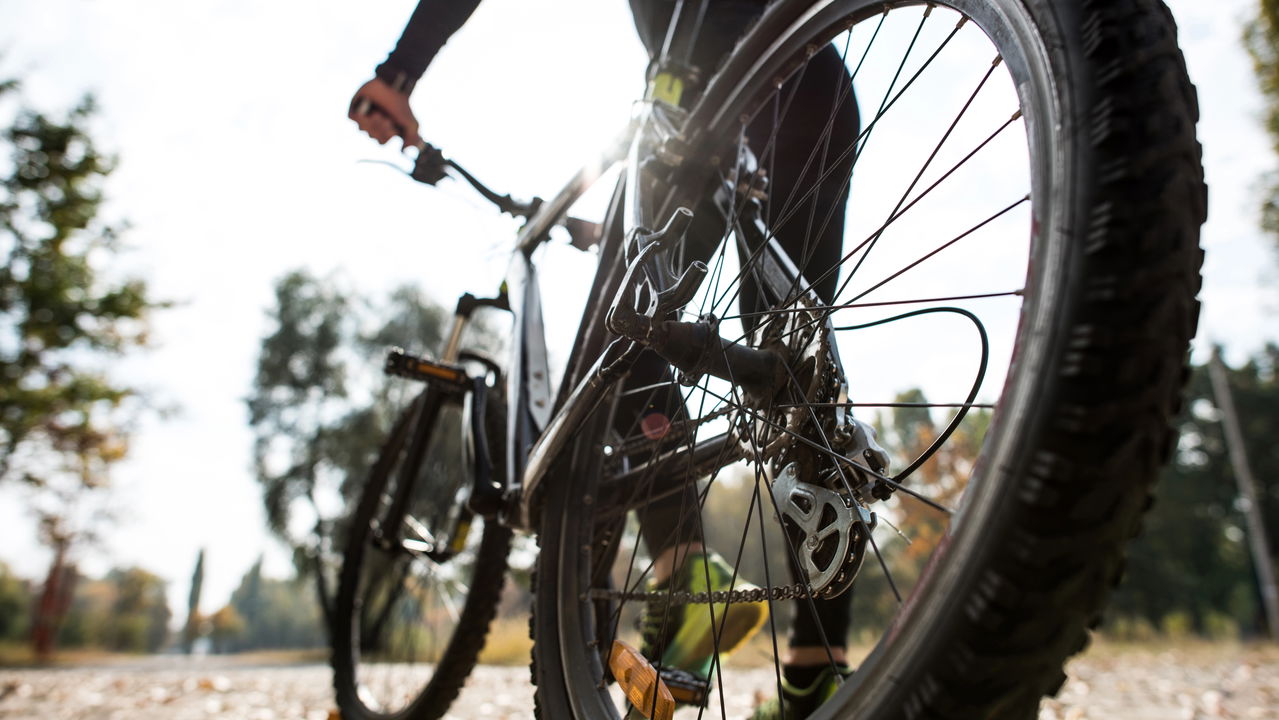 Aventura e adrenalina: Os melhores destinos para mountain bike no Brasil