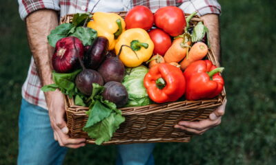 Verduras nutritivas: Descubra opções essenciais para a alimentação