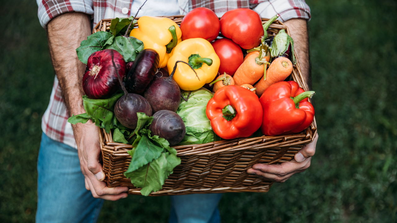 Verduras nutritivas: Descubra opções essenciais para a alimentação