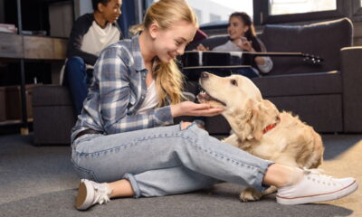 A Fórmula Mágica para um Sorriso: Golden Retriever + Criança com Autismo