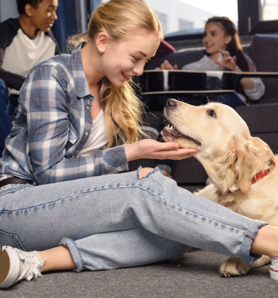 A Fórmula Mágica para um Sorriso: Golden Retriever + Criança com Autismo