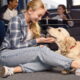 A Fórmula Mágica para um Sorriso: Golden Retriever + Criança com Autismo