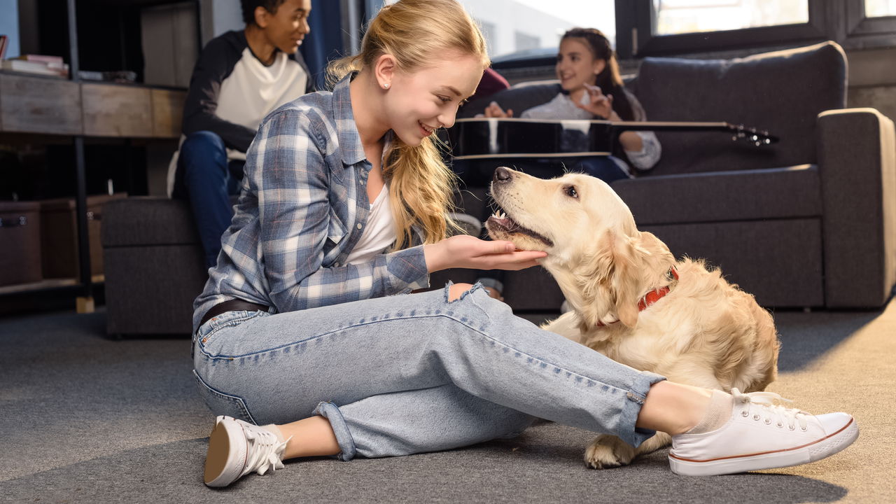 A Fórmula Mágica para um Sorriso: Golden Retriever + Criança com Autismo