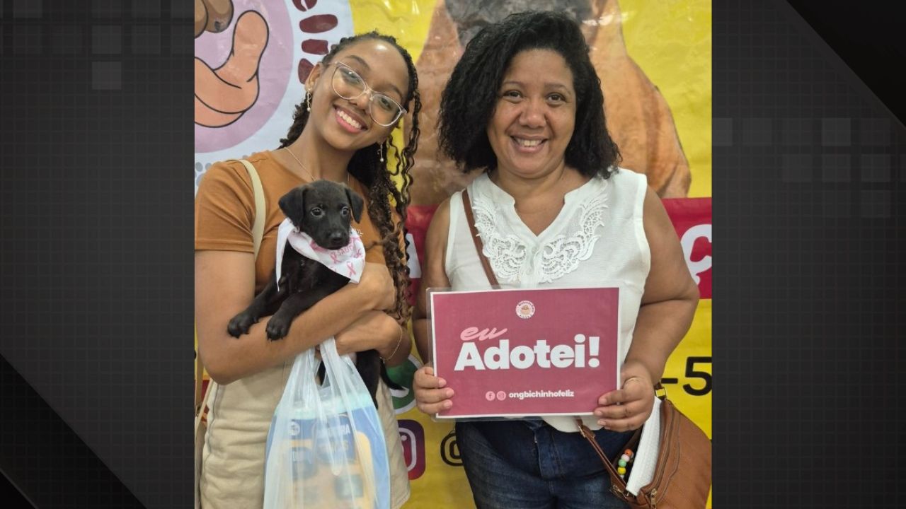 ONG Bichinho Feliz realiza campanha de adoção de cães e gatos.