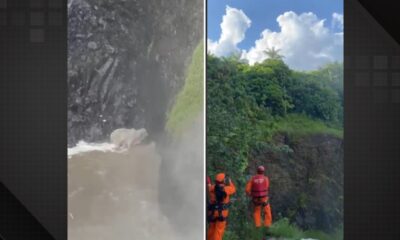 Bombeiros resgatam boi em cachoeira de Minas