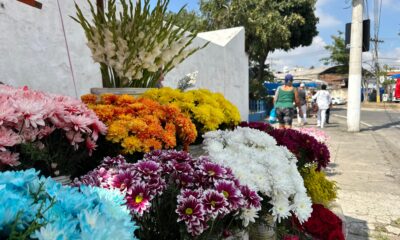 Flores à venda no Cemitério do Caju.