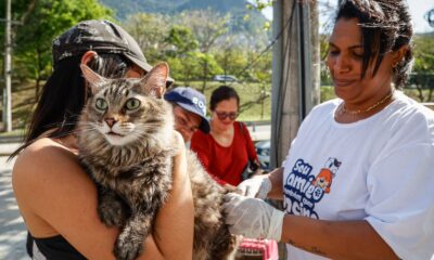 Rio encerra campanha antirrábica na Zona Oeste neste sábado