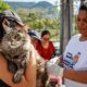 Rio encerra campanha antirrábica na Zona Oeste neste sábado