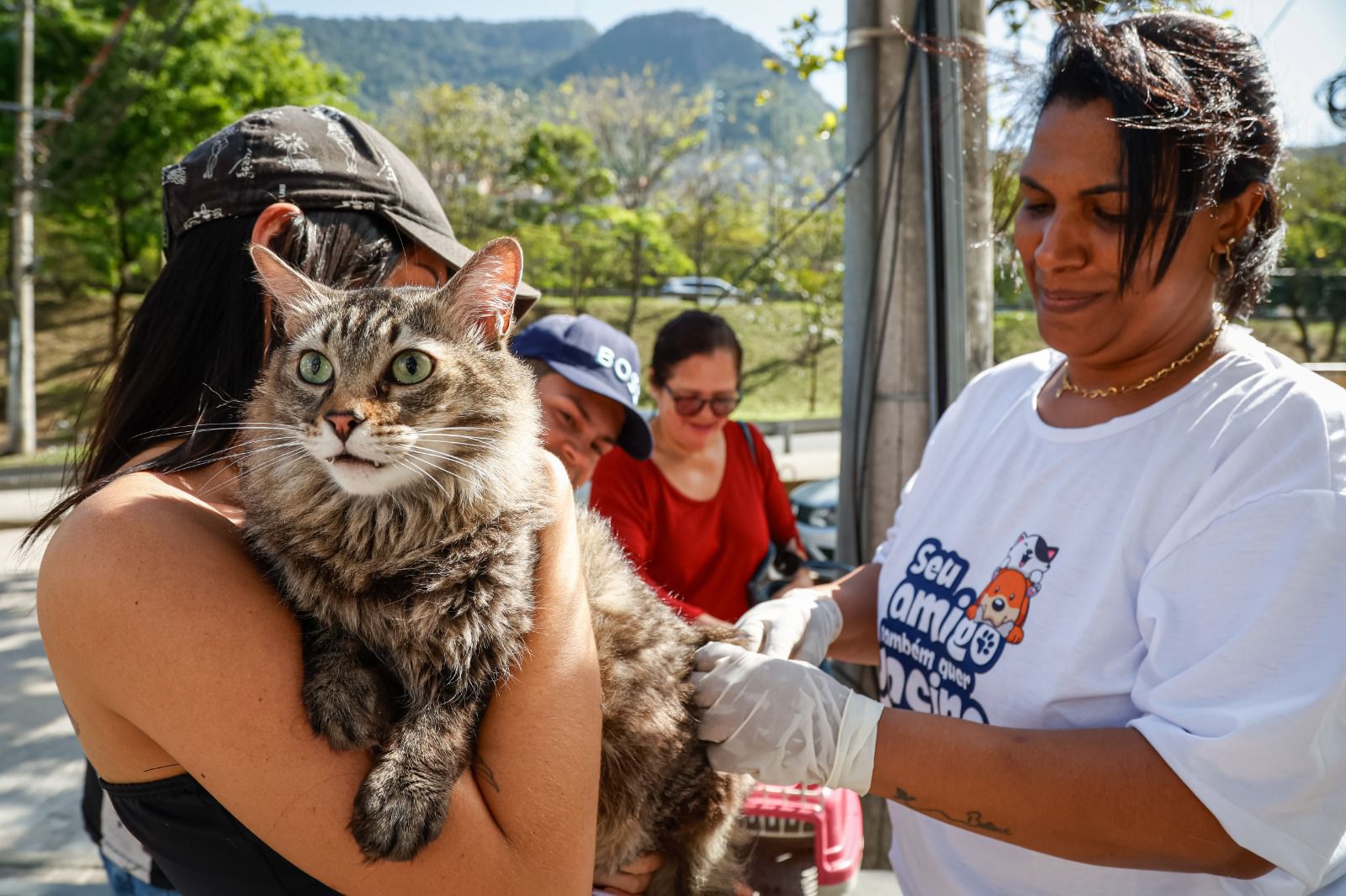 Rio encerra campanha antirrábica na Zona Oeste neste sábado