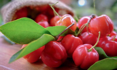 Acerola, a fruta rica em antioxidantes e cheia de vantagens para a saúde