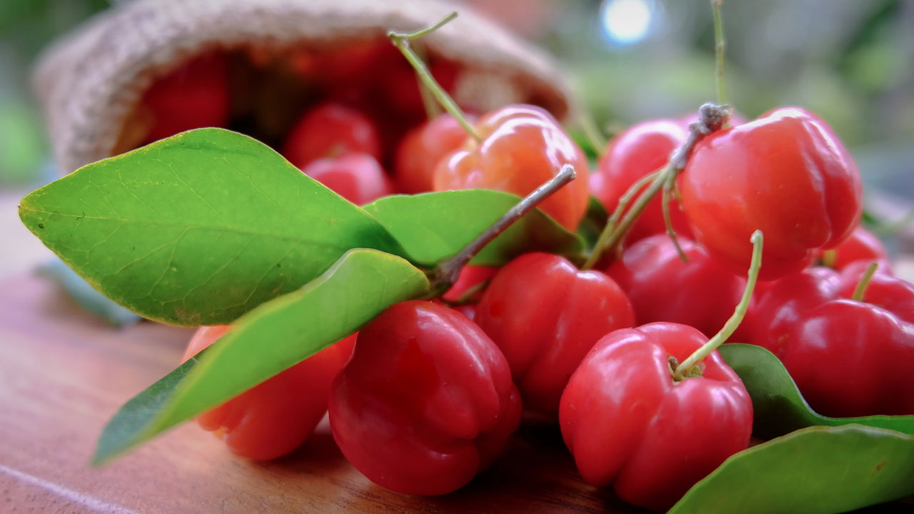 Acerola, a fruta rica em antioxidantes e cheia de vantagens para a saúde