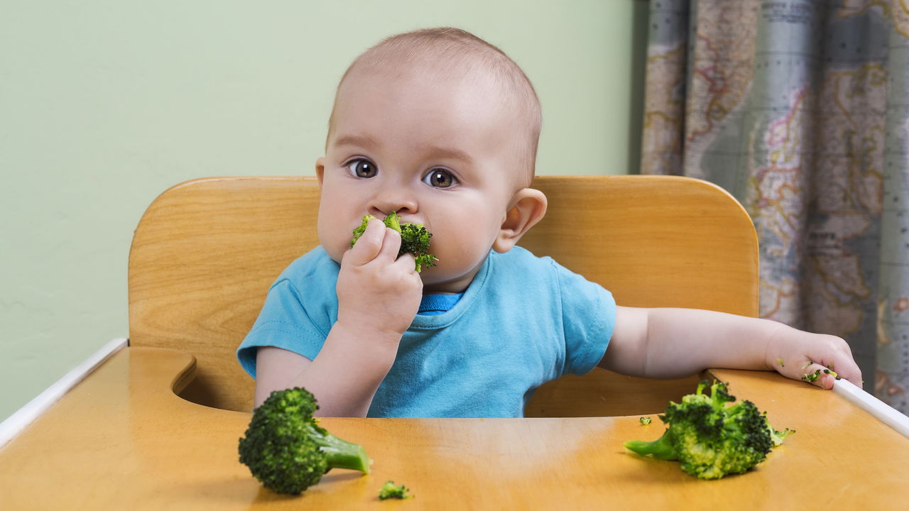 Impactos da alimentação nos primeiros 1.000 dias de vida