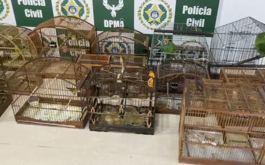 Polícia Civil prende traficantes de animais silvestres e estudante de veterinária no RJ