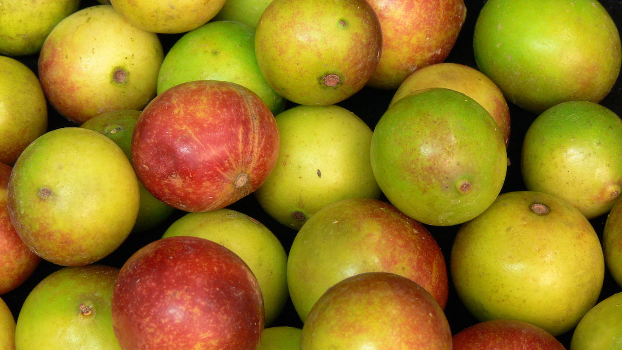 Camu-camu, a superfruta brasileira cheia de vitamina C