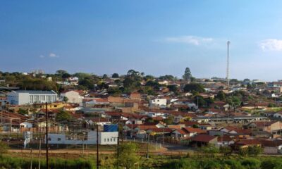 Mar de flores e um rio de mel: Descubra a capital paulista do mel!