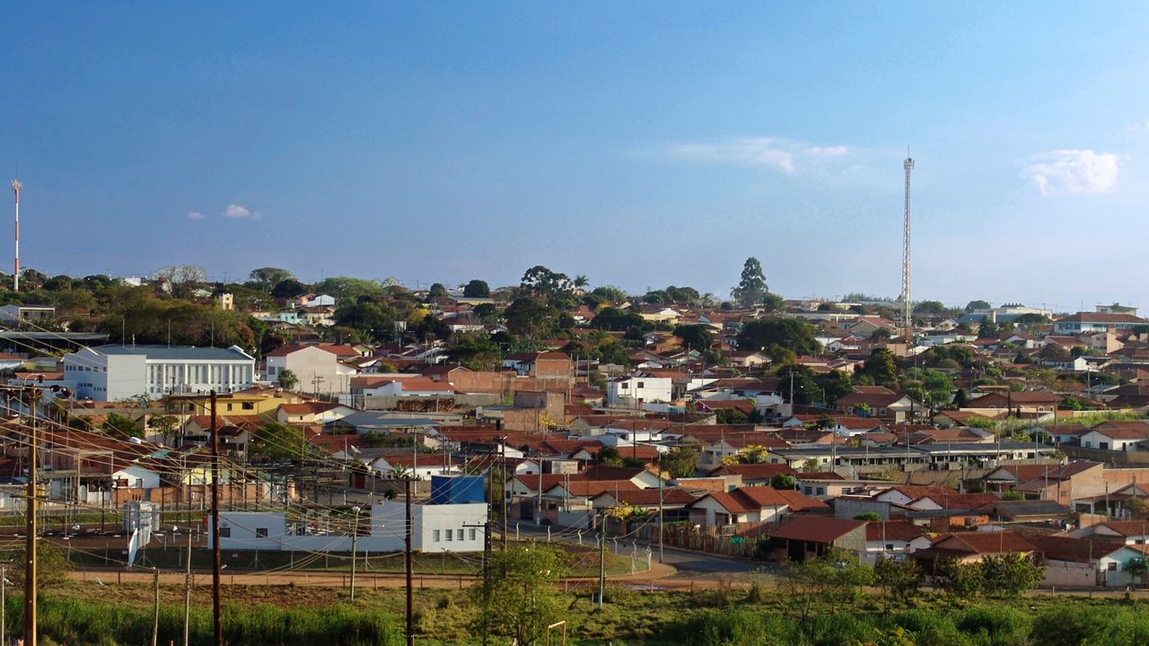 Mar de flores e um rio de mel: Descubra a capital paulista do mel!