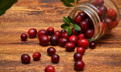 Saiba como o cranberry pode ajudar na prevenção de infecções do trato urinário