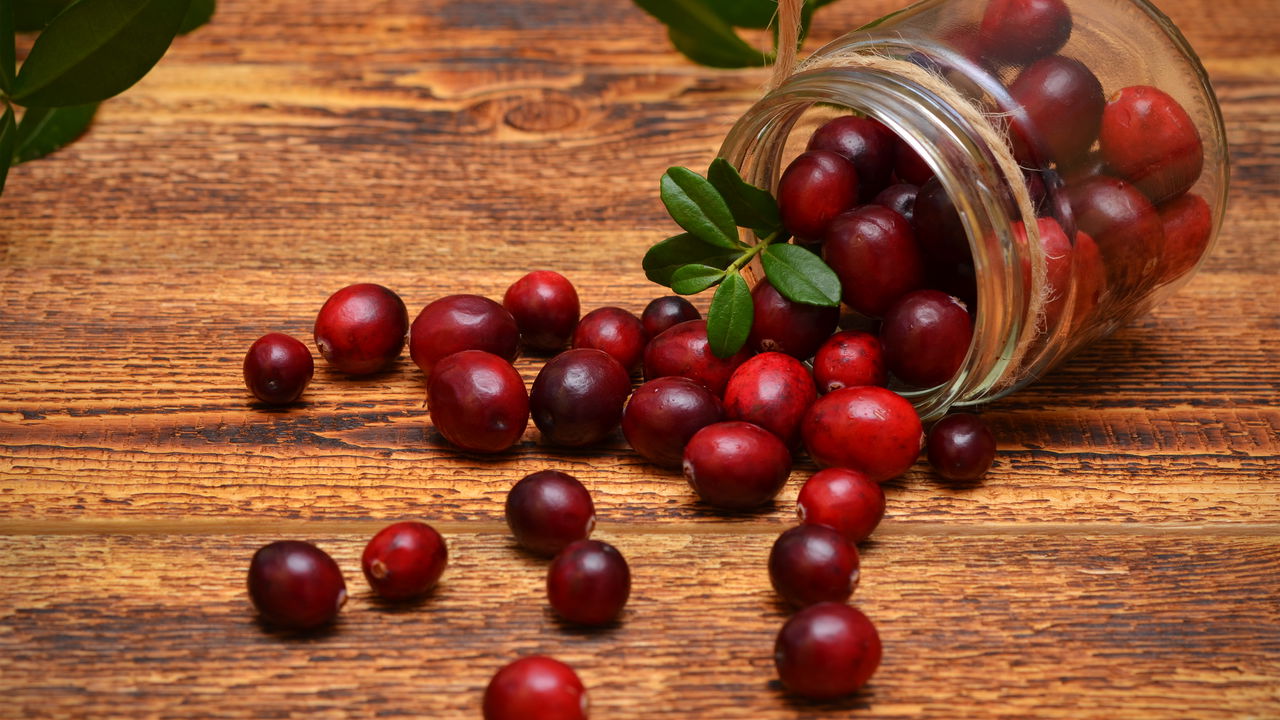 Saiba como o cranberry pode ajudar na prevenção de infecções do trato urinário