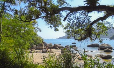 Trilha da Feiticeira, em Ilha Grande