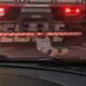 Homem pegando carona em caminhão na Ponte Rio-Niterói. Foto: Reprodução