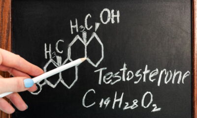 Importância da testosterona no corpo humano