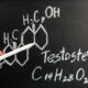 Importância da testosterona no corpo humano