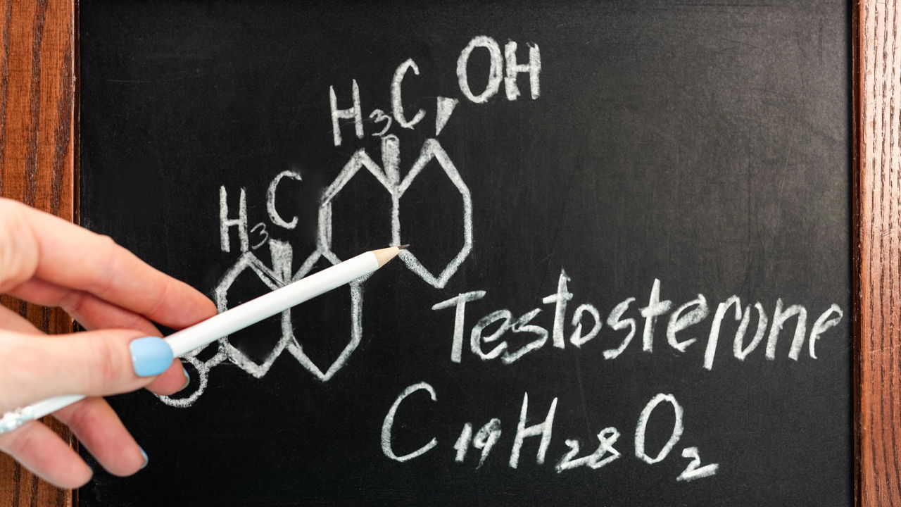 Importância da testosterona no corpo humano