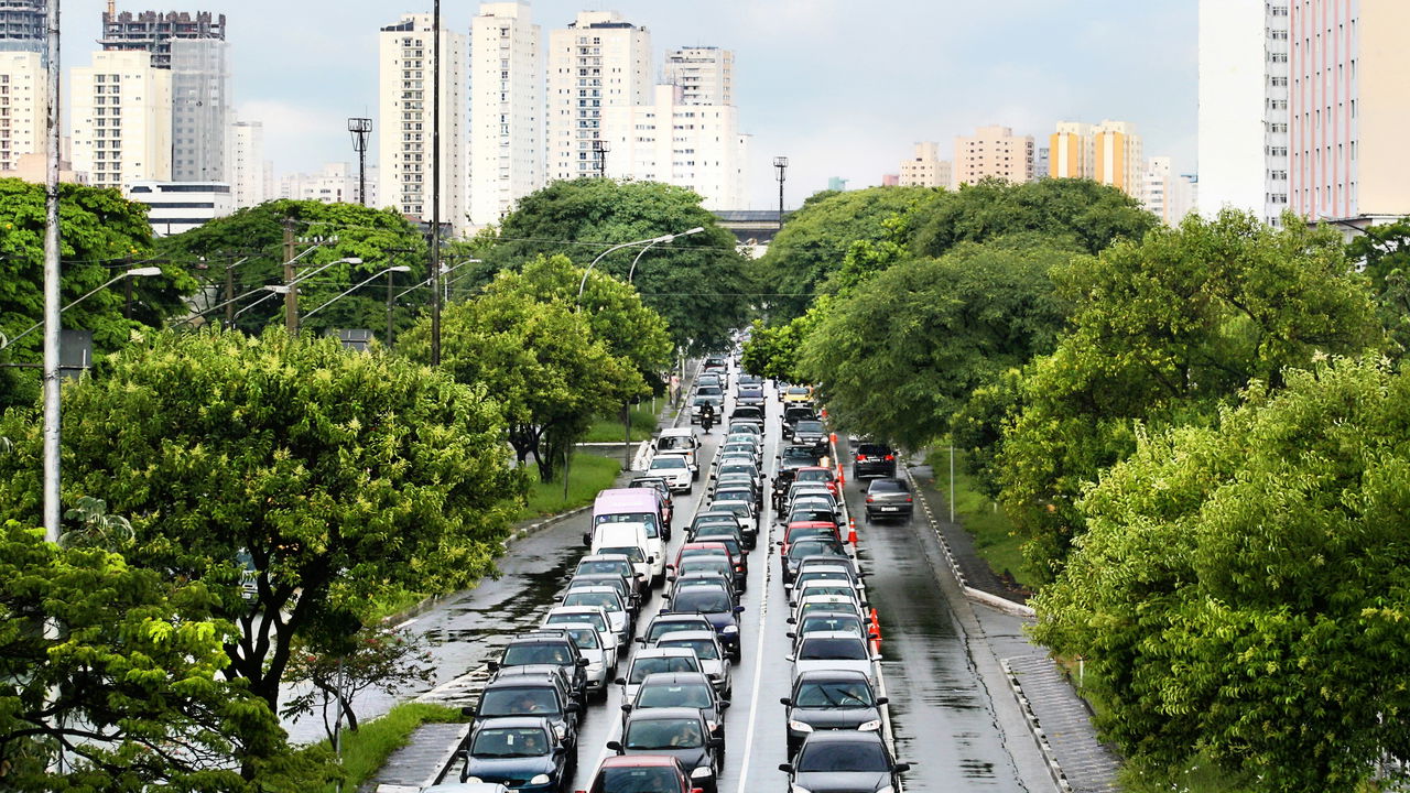 Previsão do tempo São Paulo: Calor de 30°C e chuvas típicas de verão marcam 7/12/2024