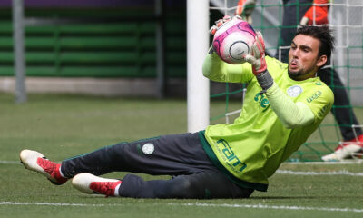 Daniel, goleiro ex-Palmeiras (Foto: Divulgação)