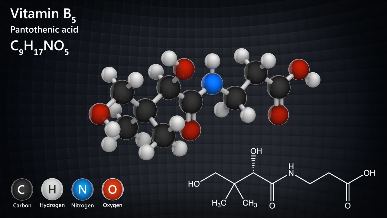 O que é a vitamina B5 e por que é importante para o corpo?