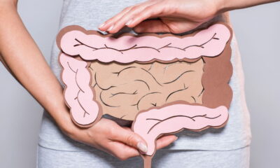 Saúde intestinal: Estudo revela a importância de uma rotina de evacuações